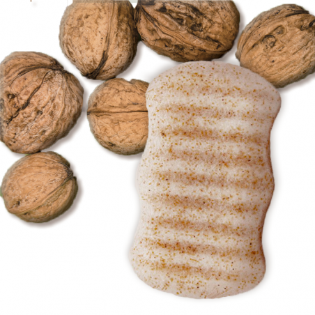 Eponge Konjac 100% Naturelle Éclats de Noix – Corps - Lady Green