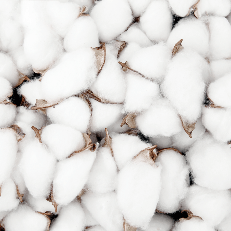 Kit démaquillage Zéro déchet - 5 Disques démaquillants + 1 filet de lavage