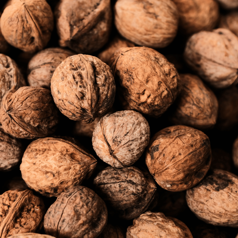 Eponge Konjac 100% Naturelle Éclats de Noix – Corps - Lady Green