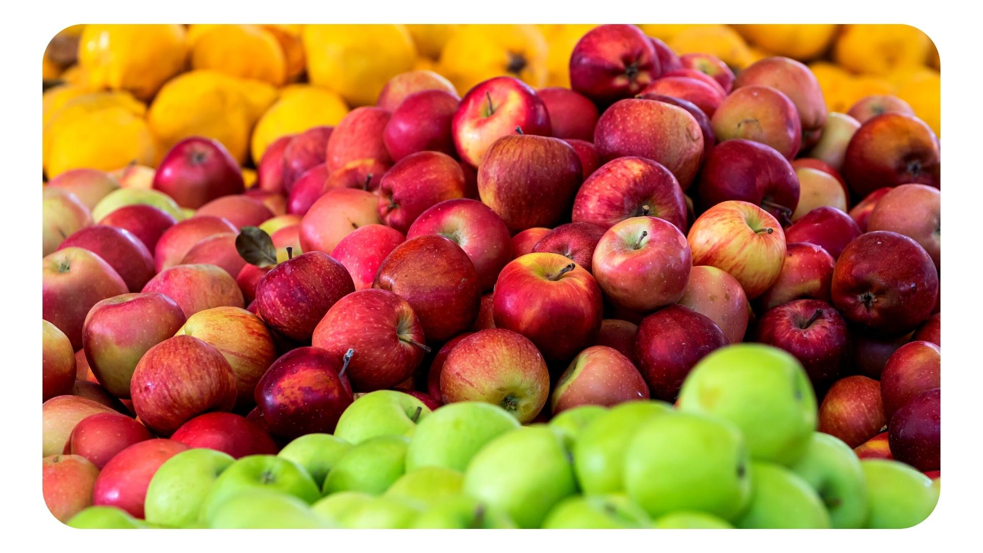 La pomme au centre de votre alimentation et de votre peau